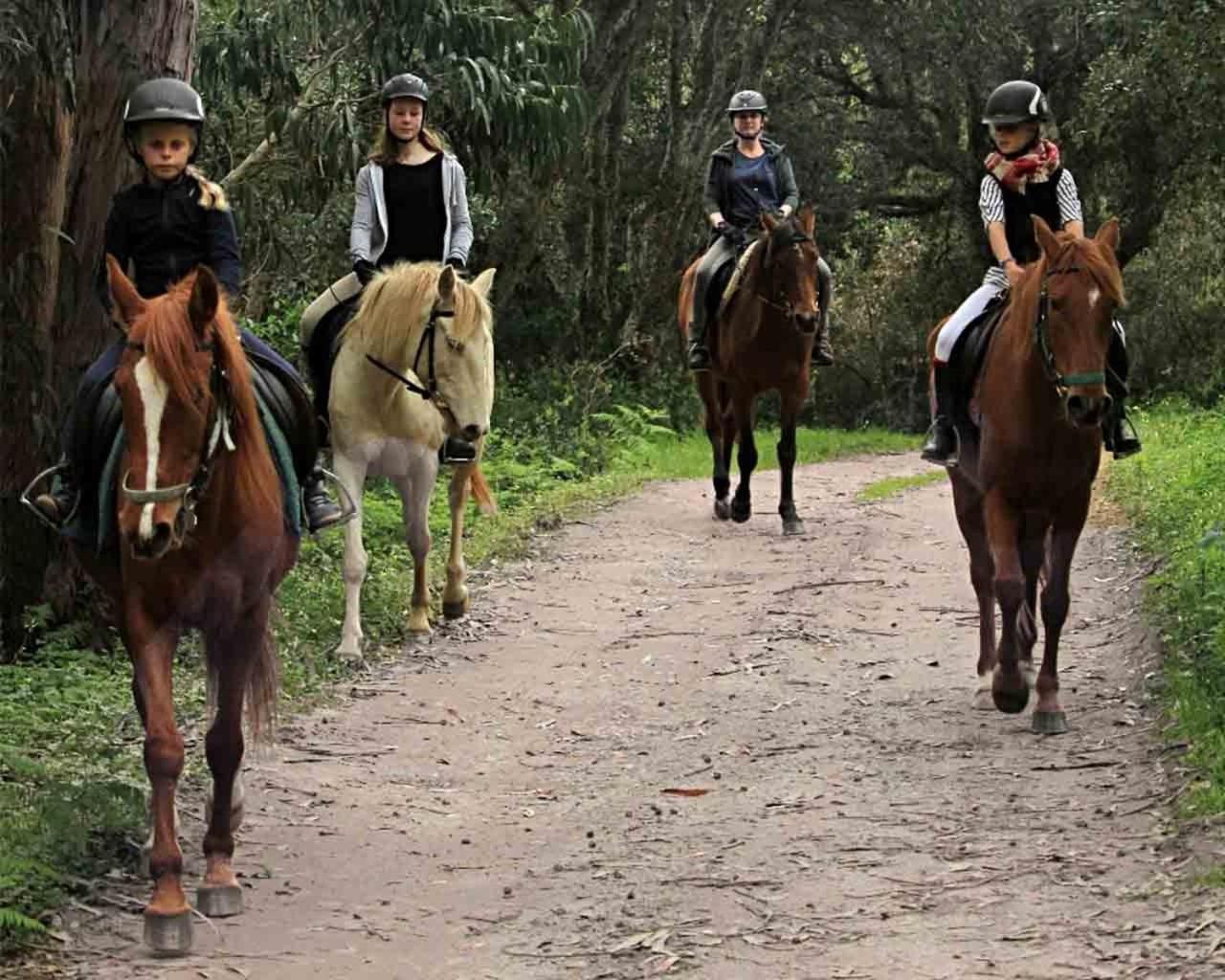 Quinta Pedagogica Da Samoqueirinha - Duna Parque Resorts & Hotels Vila Nova de Milfontes Luaran gambar